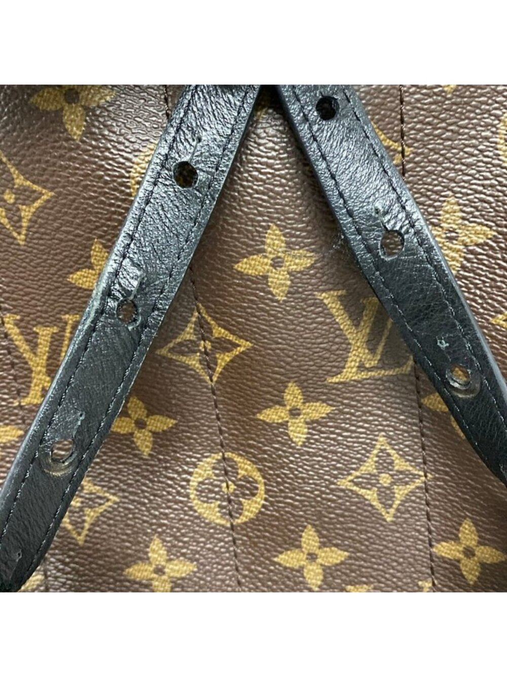 Louis Vuitton Sac Monogram Palm Springs Backpack PM - Picture 14 of 15